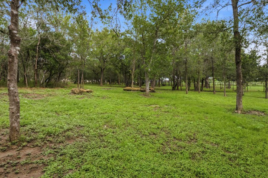 Mature trees lines the rear property line, creating a natural privacy screen that makes your backyard feel like a secluded forest