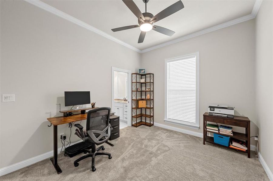 Front bedroom with carpet, ceiling fan, and ample closet space. Front bedroom with carpet, ceiling fan, and ample closet space.