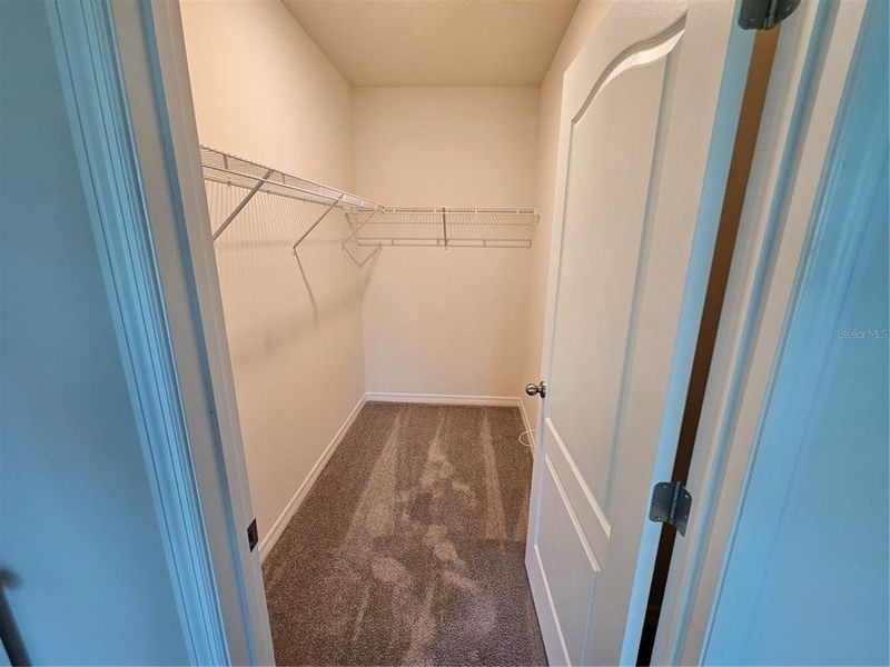 Spacious, unfurnished interior of a new home in Charles Cove Express, Davenport (Image 15).