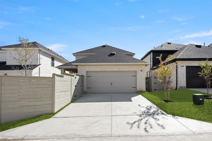 4_8825 Acorn- Back-3