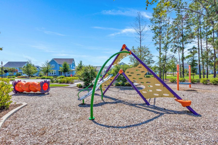 Community amenities in Heron's Walk at Summers Corner, Summerville (Image 53).