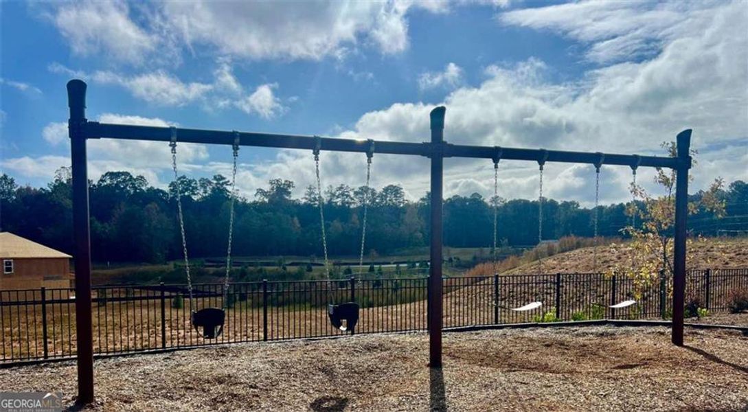 Community amenities in Fern Dale, Fairburn (Image 23).