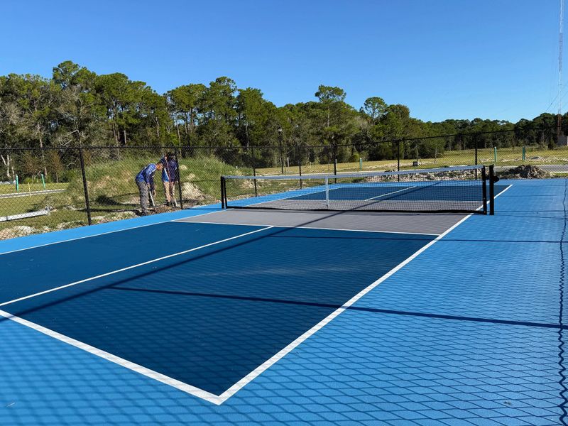 Pickleball court - construction almost complete!