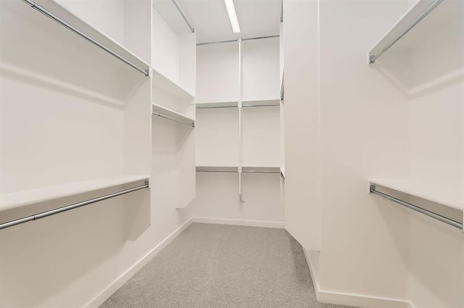 Spacious closet featuring light carpet