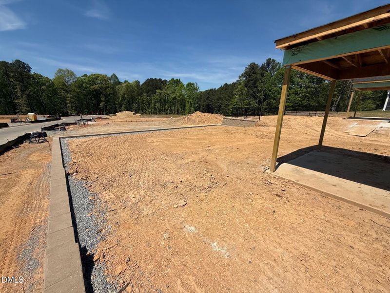 Lot 90 Backyard Lot 90 Backyard