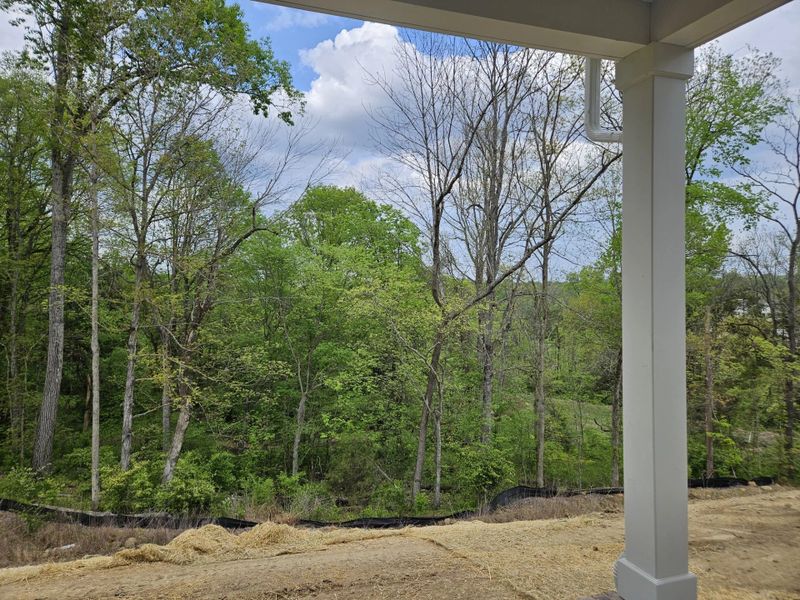Exterior details and patio area of a home in Cedars of Cane Ridge | 55+ Community, Antioch (Image 3). Exterior details and patio area of a home in Cedars of Cane Ridge | 55+ Community, Antioch (Image 3).