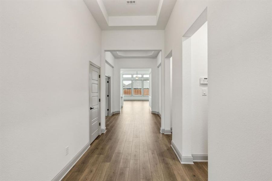 3-3629Maize_003 3-3629Maize_003