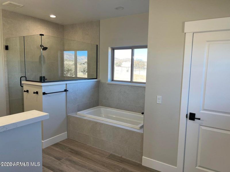 Similar Rendition of Primary Bath Similar Rendition of Primary Bath