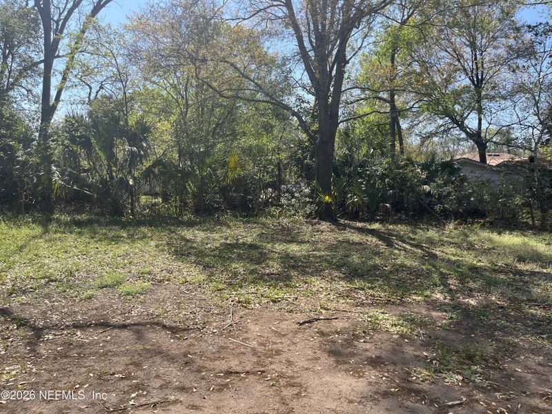 Natural landscape and outdoor views near  in Jacksonville (Image 22).