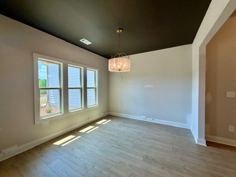 Spacious, unfurnished interior of a new home in Lakefield, Palmetto (Image 11).