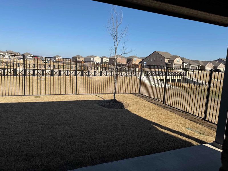 Backyard Construction Progress