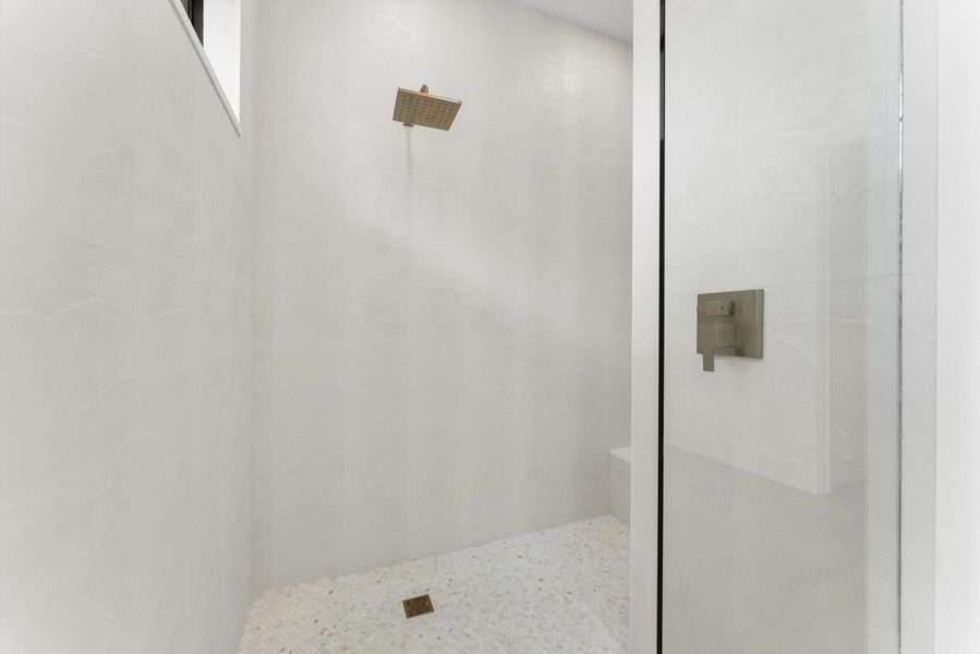 Primary Shower