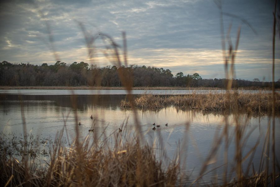 Natural landscape and outdoor views near in Dorchester (Image 33). Natural landscape and outdoor views near in Dorchester (Image 33).
