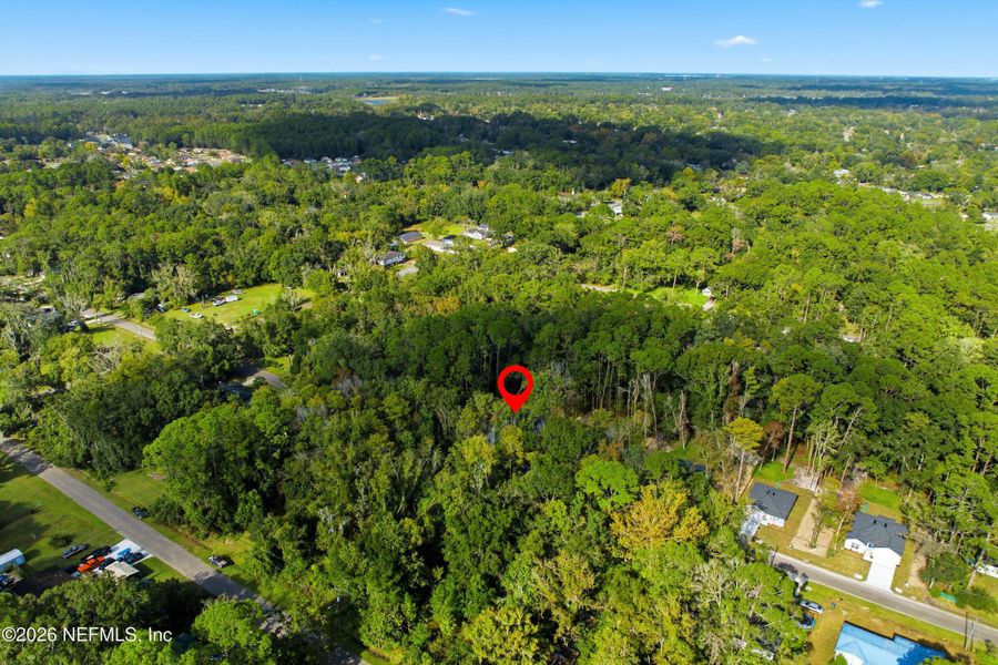 Natural landscape and outdoor views near  in Jacksonville (Image 26).