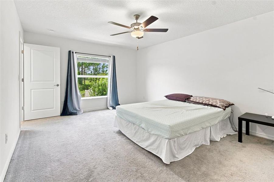 Furnished interior view inside a new home in , Zephyrhills (Image 45). Furnished interior view inside a new home in , Zephyrhills (Image 45).