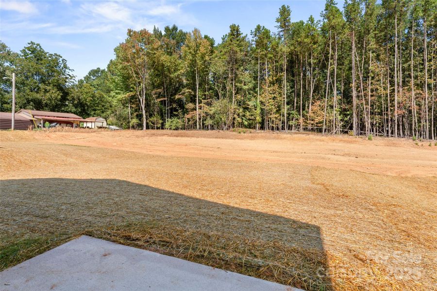 Natural landscape and outdoor views near  in Albemarle (Image 30).