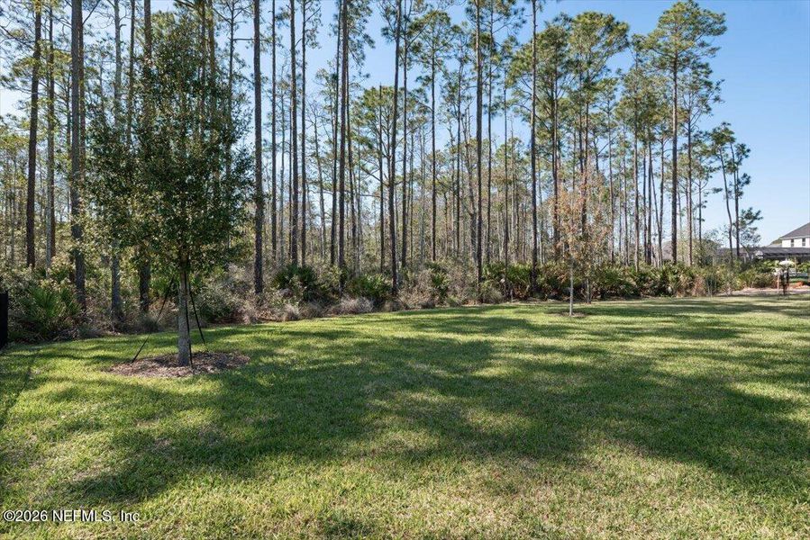 Natural landscape and outdoor views near  in Ponte Vedra (Image 51).