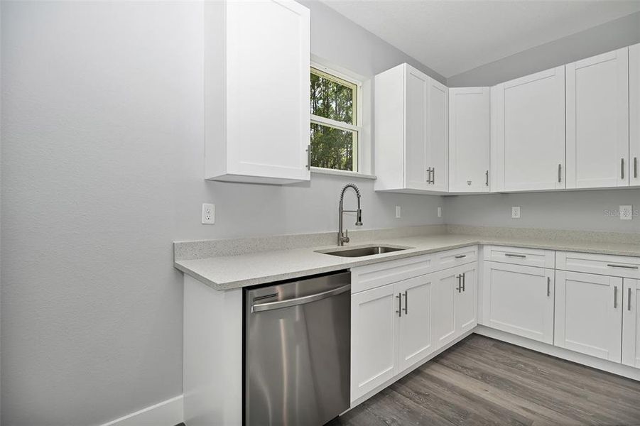 Kitchen Sink & Dishwasher