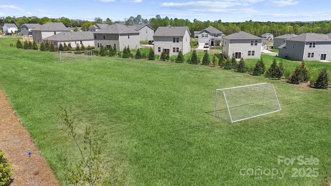 Community Activity Field