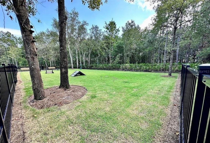 Natural landscape and outdoor views near  in St. Johns (Image 29).