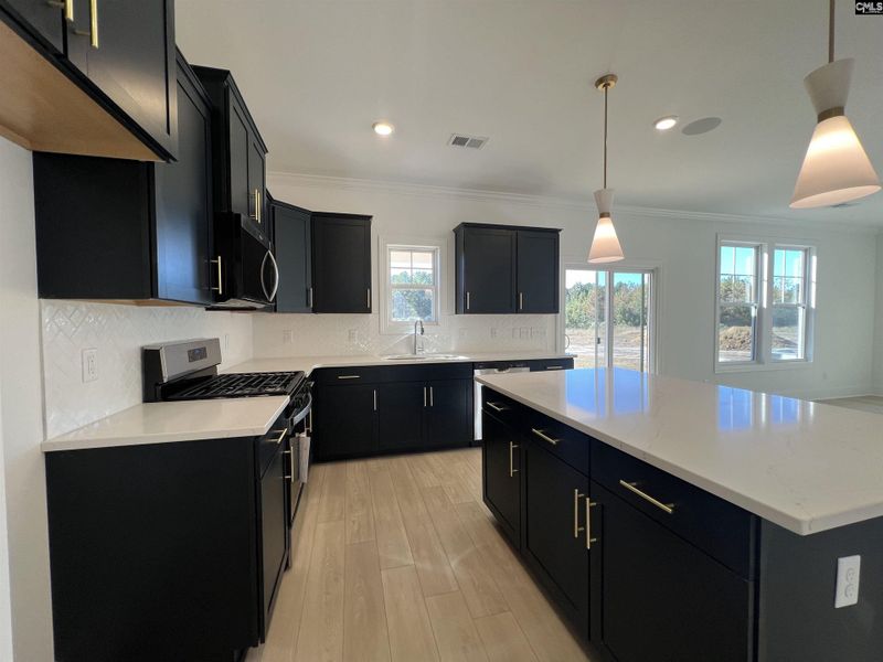 Furnished interior view inside a new home in Beach Forest, Sumter (Image 4).
