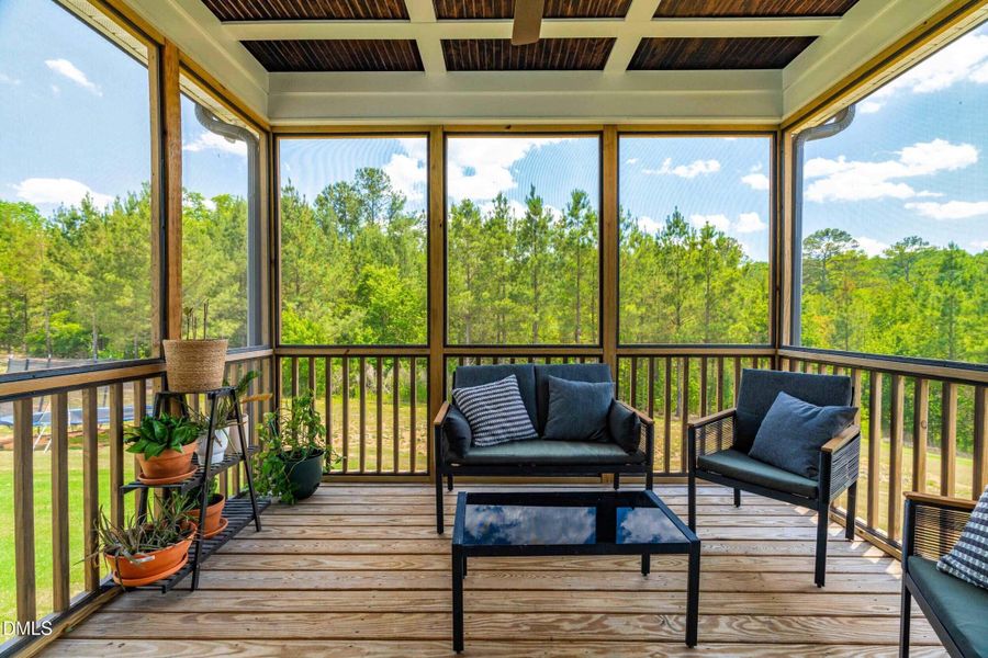 Screen Porch Screen Porch