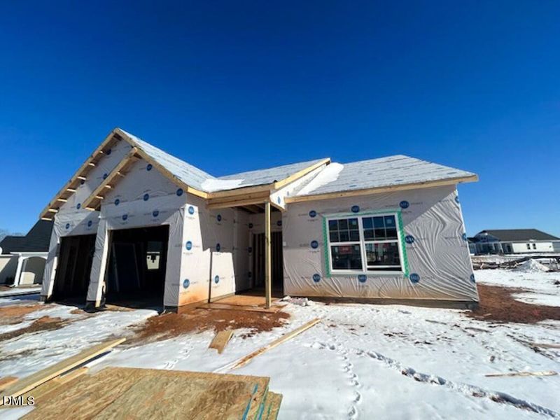 145 Sugarmaple (Medium) 145 Sugarmaple (Medium)