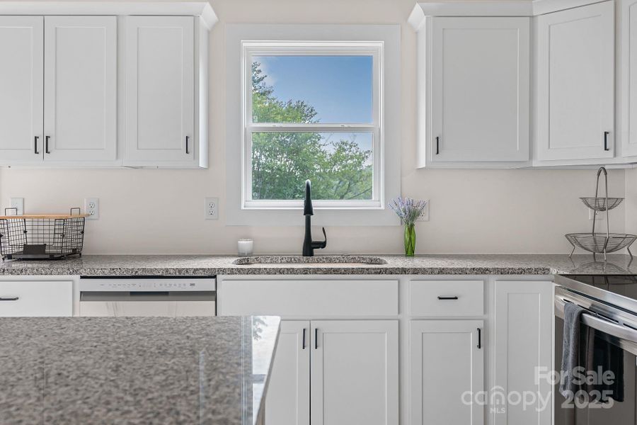 Views of the backyard