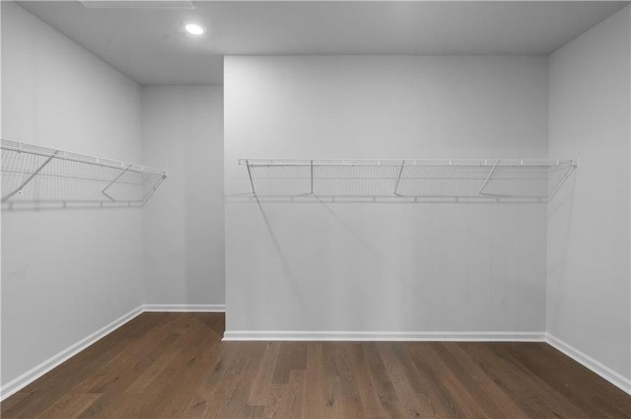 Walk in closet with dark wood-type flooring Walk in closet with dark wood-type flooring