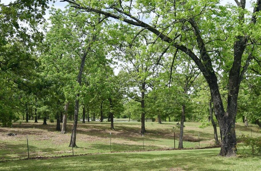 Natural landscape and outdoor views near in Quitman (Image 27). Natural landscape and outdoor views near in Quitman (Image 27).
