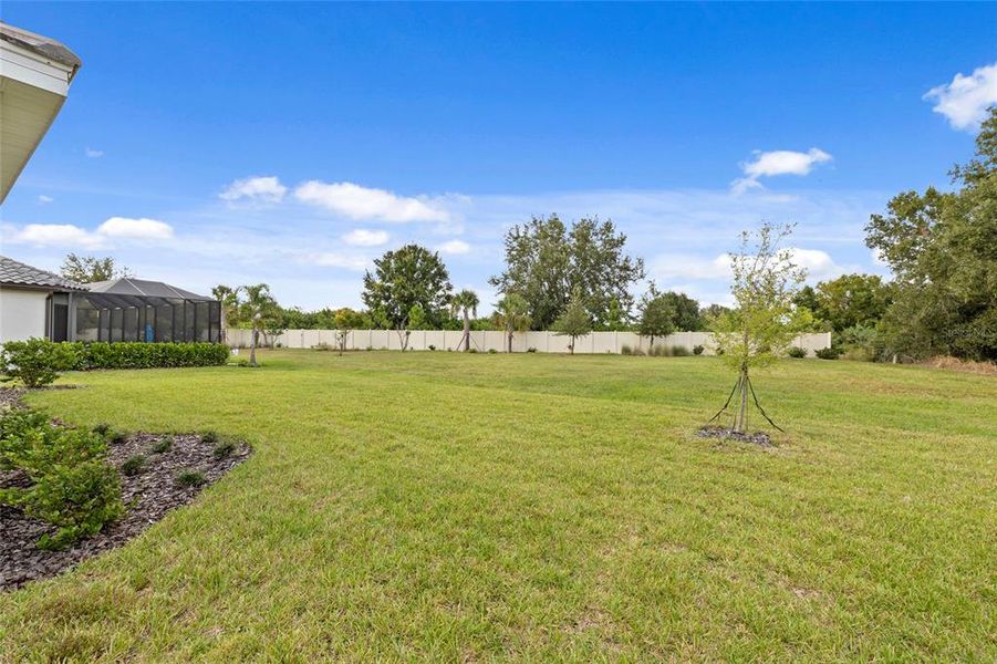 Natural landscape and outdoor views near  in Palmetto (Image 41).