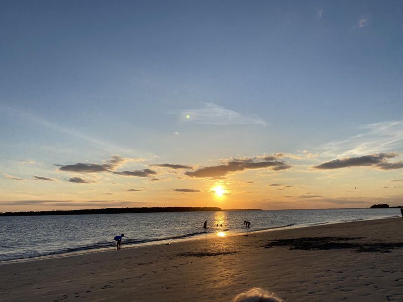Natural landscape and outdoor views near  in Seabrook Island (Image 11).