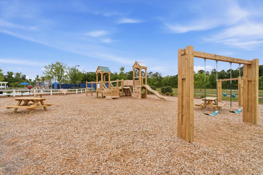 Community amenities in Sheep Island, Summerville (Image 25).