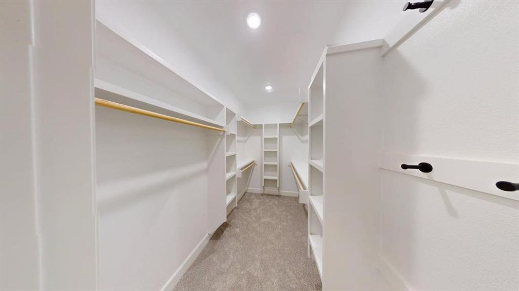 Spacious closet featuring carpet flooring