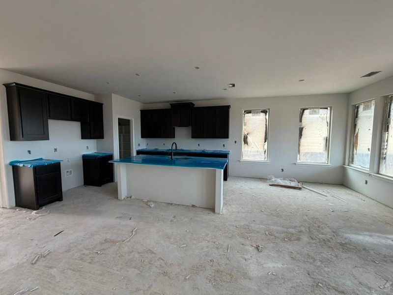 In-progress construction of a new home in Covenant Park, Springtown, TX (Image 10).