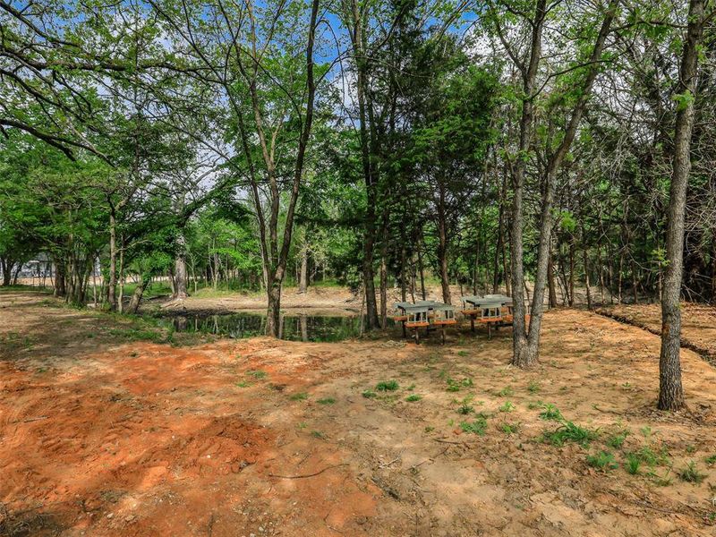 Natural landscape and outdoor views near  in Azle (Image 28).