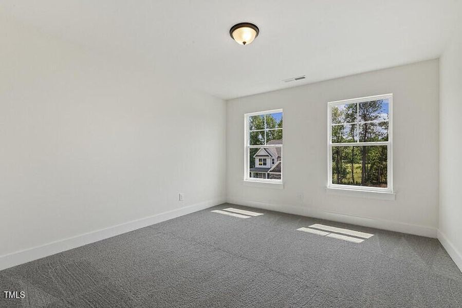 54563970519_89d6ea7008_c