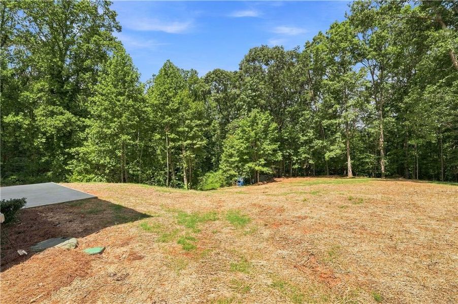 Natural landscape and outdoor views near in Gainesville (Image 42). Natural landscape and outdoor views near in Gainesville (Image 42).