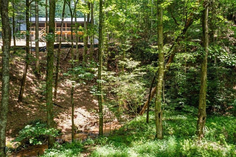 Natural landscape and outdoor views near  in Ellijay (Image 34).