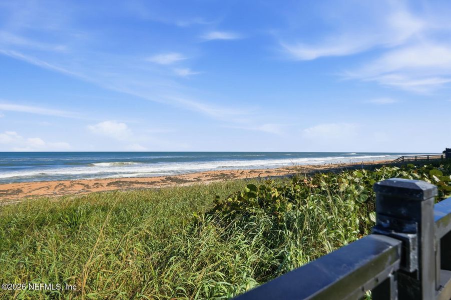 Natural landscape and outdoor views near in Daytona Beach (Image 85). Natural landscape and outdoor views near in Daytona Beach (Image 85).