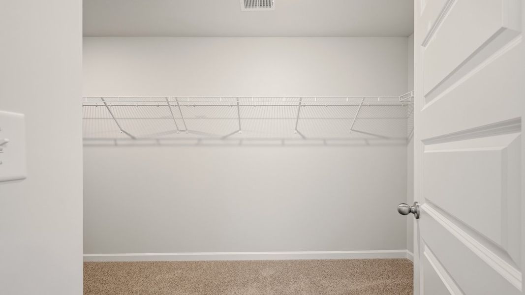 Spacious, unfurnished interior of a new home in Cedar Ridge - Locust Grove Station, Locust Grove (Image 24).
