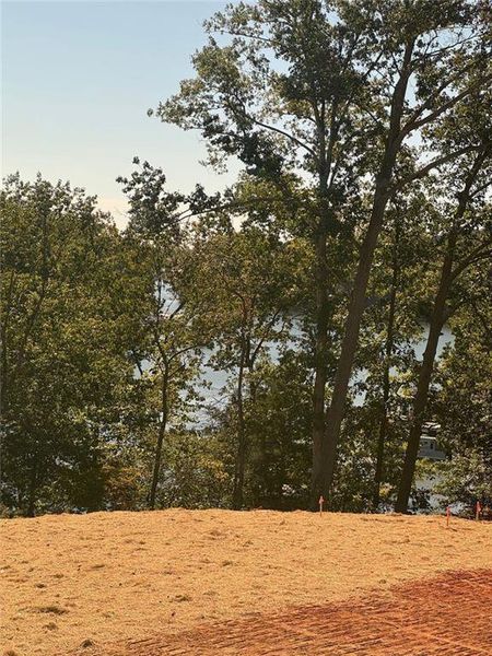 Natural landscape and outdoor views near Long Hollow Landing in Gainesville (Image 50).