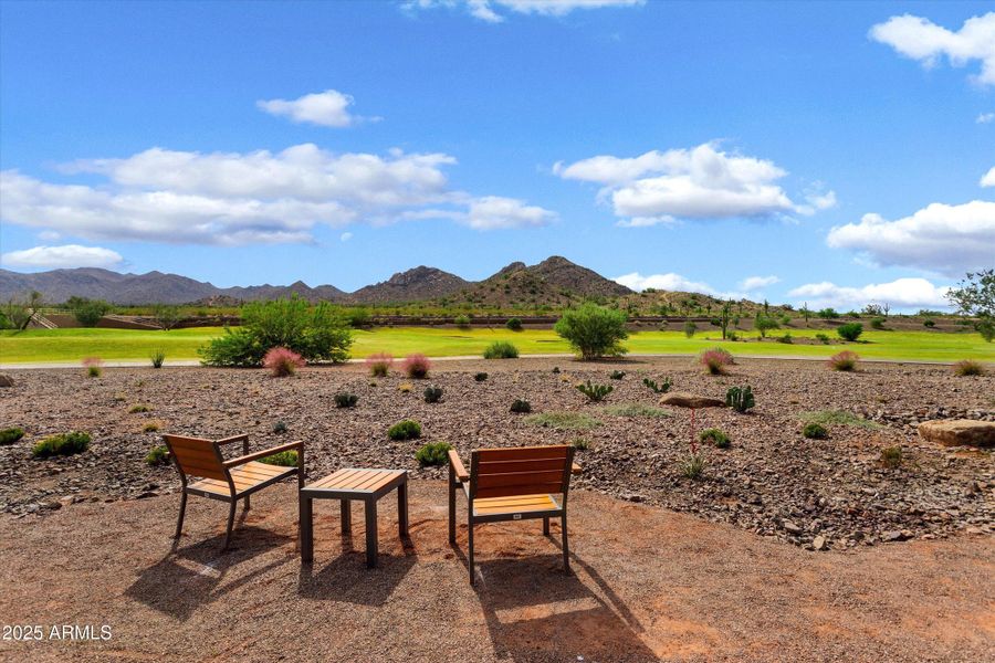 43-Saguaro-Sun City Festival 43-Saguaro-Sun City Festival