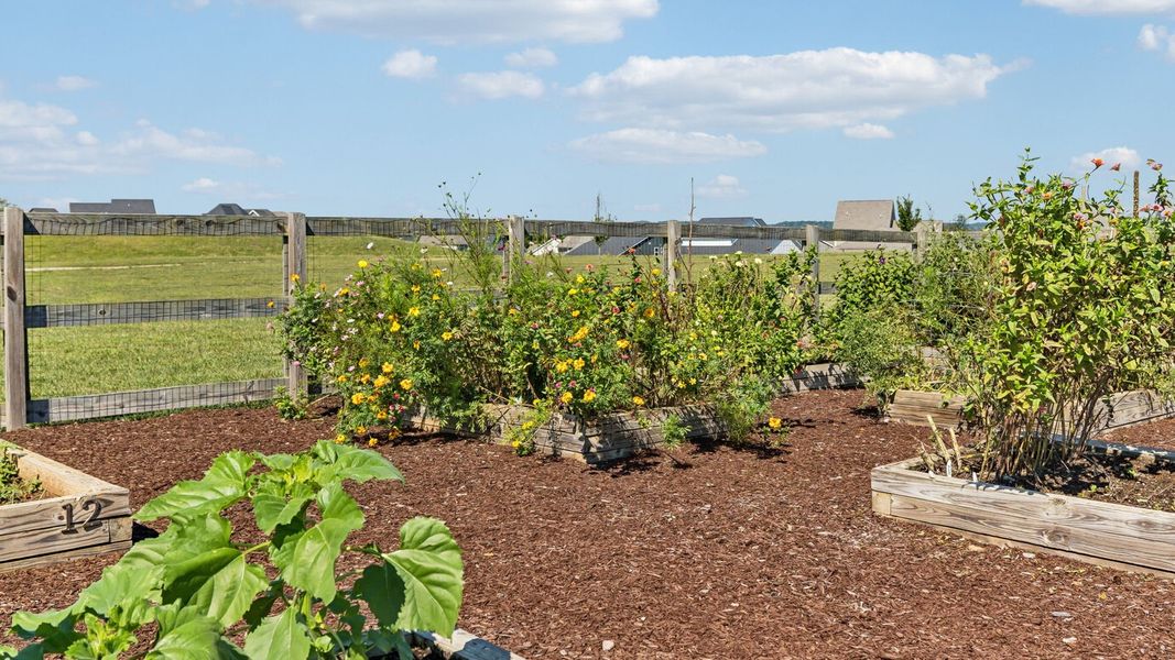 Natural landscape and outdoor views near Harvest Point in Spring Hill (Image 24).