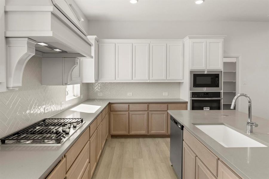 4308 Slickrock Way, Little Elm, Texas