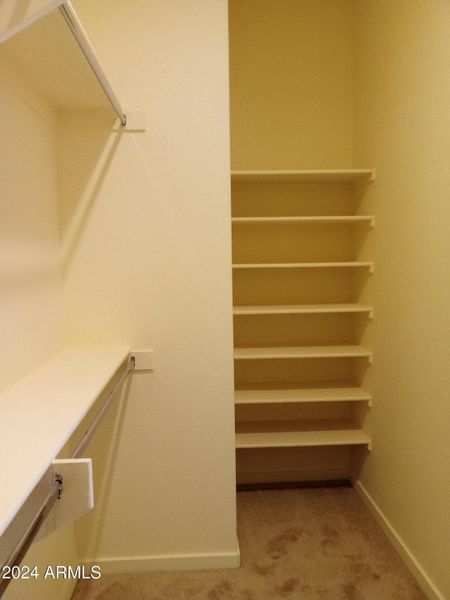 Primary Walk-in Closet with Shelving