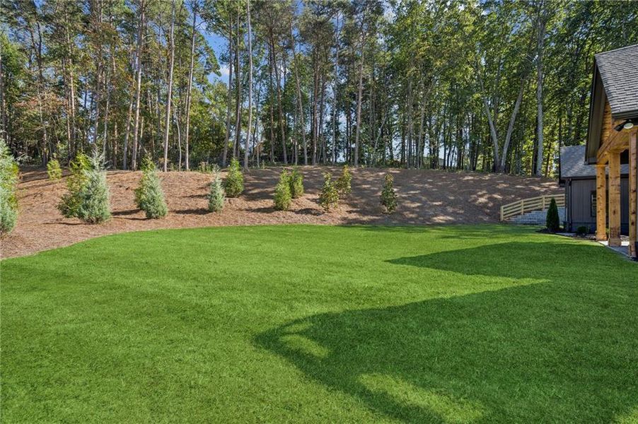 Natural landscape and outdoor views near  in Cumming (Image 21).