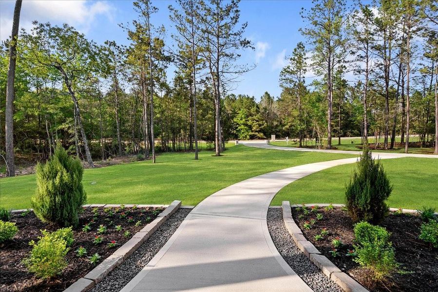 A front yard that is both inviting and expansive.