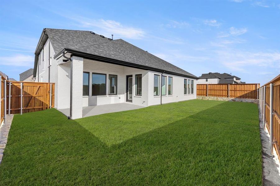 26. 3115 Tobias - Back