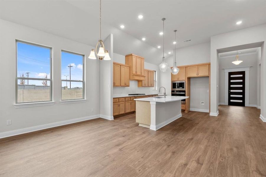 DAL_Painted Tree_Kilgore IV_3200 Vermilion Street (5)